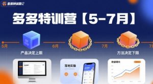多多特训营,产品决定上限,方法决定下限,各种玩法技巧落地实操(更新)|淘骐网赚资源库