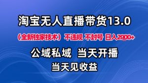 淘宝无人直播13.0,公域私域技术,不封号,不违规布局下半年旺季赛道,日入1K+(独家技术)【揭秘】|淘骐网赚资源库