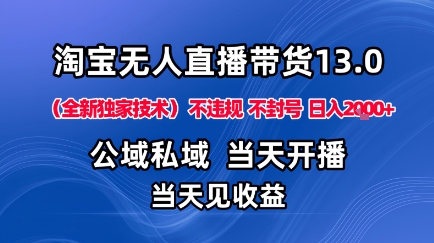 淘宝无人直播13.0,公域私域技术,不封号,不违规布局下半年旺季赛道,日入1K+(独家技术)【揭秘】|淘骐网赚资源库