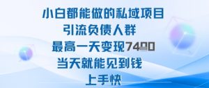 2025年小白都能做的私域项目引流负债人群最高一天变现1k+高变现难度低当天就能见到钱上手快|淘骐网赚资源库