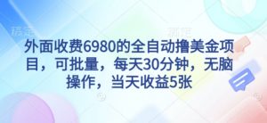 外面收费6980的全自动撸美刀项目，可批量，每天30分钟，无脑操作，当天收益5张【揭秘】|淘骐网赚资源库