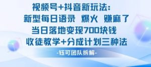 视频号加抖音新玩法:爆火新型每日语录,收徒教学加分成计划,三种变现玩法,当日变现7张|淘骐网赚资源库