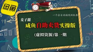 麦子甜咸鱼自助卖货实操版(虚拟资源)一个会自动搞钱的机器|淘骐网赚资源库