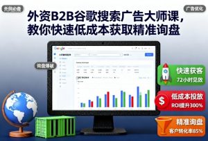 外资B2B谷歌搜索广告大师课,教你快速低成本获取精准询盘|淘骐网赚资源库