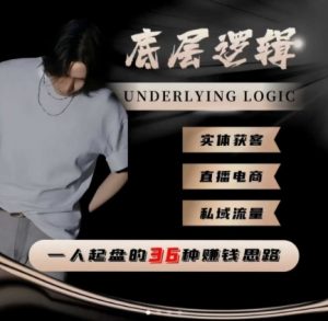 一个人起盘的底层逻辑，私域流量-直播电商-实体获客，一人起盘的36种賺钱思路|淘骐网赚资源库