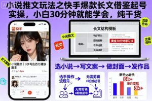 小说推文玩法之快手爆款长文借鉴起号实操,小白30分钟就能学会,纯干货|淘骐网赚资源库