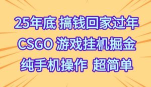 25年底搞钱回家过年，CSGO游戏挂G掘金，纯手机操作超简单【揭秘】|淘骐网赚资源库