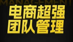 电商超强团队管理,组织绩效,到用人执行,分权合伙-第一资源库
