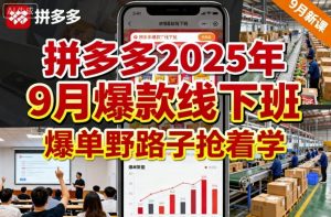 拼多多2025年9月爆款线下班，爆单野路子抢着学|淘骐网赚资源库