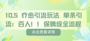 疗愈引流玩法，单条引流百人，保姆级全流程|淘骐网赚资源库