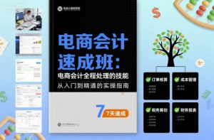 电商会计速成班，电商会计全程处理的技能|淘骐网赚资源库
