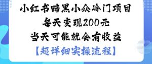 小红书暗黑小众冷门项目每天变现2张当天可能就会有收益|淘骐网赚资源库