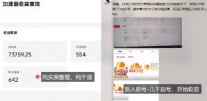 游戏加速器项目4.0_最新打法思路(爱玩游戏也能边玩边被动收益)|淘骐网赚资源库