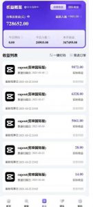 2025风口TK剪映capcut拉新项目,极限高客单,市场空白,2025下半年真正的蓝海项目|淘骐网赚资源库