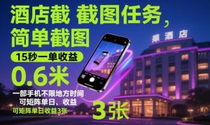 酒店截图任务,简单截图,15秒一单收益0.6米,一部手机不限地方时间,可矩阵单日收益3张【揭秘】|淘骐网赚资源库