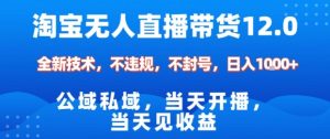 淘宝无人直播12.0,公域私域技术,不封号,不违规布局双十一流量风口,日入1k(独家技术)【揭秘】|淘骐网赚资源库