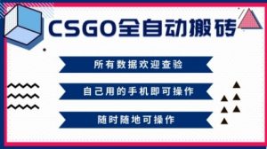 CSGO全自动搬砖,年底钱回家好项目,当天可拿到结果,新手小白轻松月入1W+【揭秘】|淘骐网赚资源库