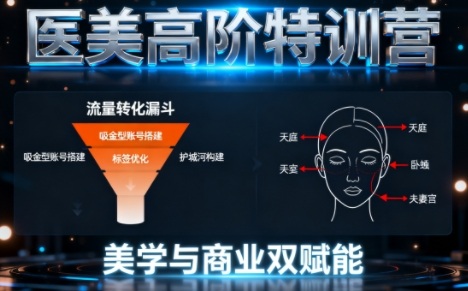 0-1000W医美高阶特训营课程,美学与商业双赋能|淘骐网赚资源库