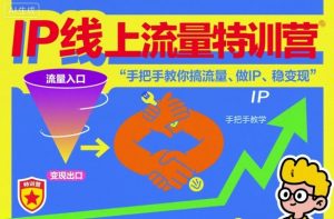 IP线上流量特训营,手把手教你搞流量、做IP、稳变现|淘骐网赚资源库