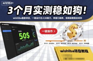3个月实测稳如狗!wishlba最新项目,一键运行日入50美刀,单窗口躺挣,保姆级教程全给你【揭秘】|淘骐网赚资源库