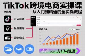 TikTok跨境电商实操课,从入门到精通的全实操流程|淘骐网赚资源库