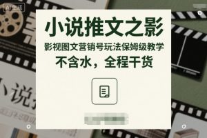 小说推文之影视图文营销号玩法保姆级教学,不含水,全程干货|淘骐网赚资源库