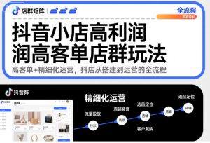 抖音小店高利润高客单店群玩法,高客单+精细化运营,抖店从搭建到运营的全流程|淘骐网赚资源库