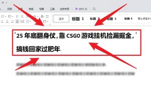25年底翻身仗，靠CSGO游戏挂G捡漏掘金，搞钱回家过肥年【揭秘】|淘骐网赚资源库
