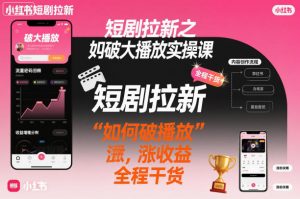 短剧拉新之小红书如何破大播放实操课，如何破播放，涨收益，全程干货|淘骐网赚资源库