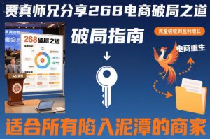 贾真师兄分享268电商破局之道-适合所有陷入泥潭的商家|淘骐网赚资源库