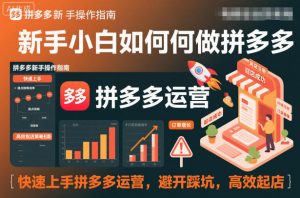 新手小白如何做拼多多,快速上手拼多多运营,避开踩坑,高效起店|淘骐网赚资源库