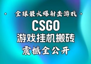 【年底大揭秘】基于全球最火爆的射击CSGO游戏挂G搬砖,日入5张+,震撼公开|淘骐网赚资源库