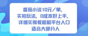 番茄小说10米每单,实拍玩法,0成本好上手,详细实操教程和平台入口适合大部分人|淘骐网赚资源库