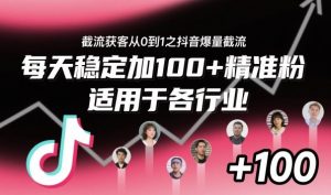 截流获客从0到1之抖音爆量截流,每天稳定加100+精准粉,适用于各行业|淘骐网赚资源库