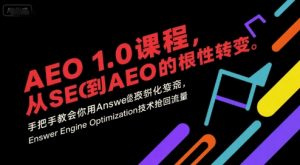 AEO 1.0 课程,从SEO到AE0的基命性转变,手把手教会你用AnswerEngineOptimization技术抢回流量(更新)|淘骐网赚资源库