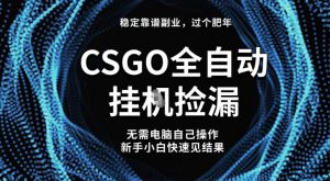 【稳定副业】全球最热门游戏CSGO全自动捡漏,最新玩法,新手小白日入5张+【揭秘】|淘骐网赚资源库