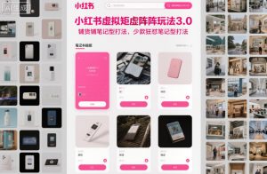 小红书虚拟矩阵玩法3.0,铺货铺笔记型打法,少款狂怼笔记型打法|淘骐网赚资源库