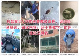 抖音某大V万物科普解说课程,可进抖音精选,独家内容,超干货教学,助你涨粉又賺钱|淘骐网赚资源库