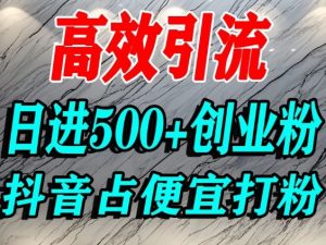 怎么打创业粉？抖音利用占便宜心理引流创业粉，单人日引500+精准流量|淘骐网赚资源库