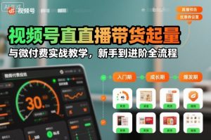 视频号直播带货起量与微付费实战教学,新手到进阶全流程|淘骐网赚资源库