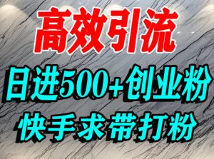 怎么打创业粉？快手求带视角精准引流创业粉，宝妈、学生群体日进500+精准流量|第一资源库