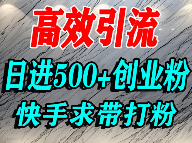 怎么打创业粉?快手求带视角精准引流创业粉,宝妈、学生群体日进500+精准流量|第一资源库
