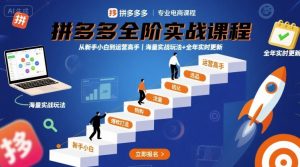 拼多多全阶实战课程,从新手小白到运营高手,海量实战玩法+全年实时更新【2025年10月更新】|淘骐网赚资源库
