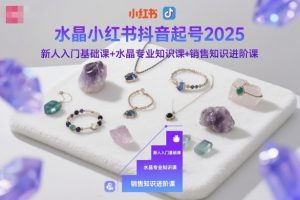 水晶小红书抖音起号2025,新人入门基础课+水晶专业知识课+销售知识进阶课|淘骐网赚资源库