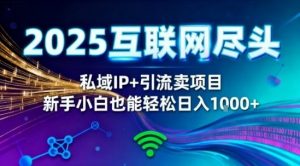 2025网创尽头王炸项目！私域IP+精准引流，新手小白在家躺賺日入1k，零经验也能上手【揭秘】|淘骐网赚资源库