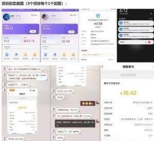 当天能收益的3个小项目拆解_包括平台+操作流程|淘骐网赚资源库