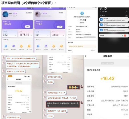 当天能收益的3个小项目拆解_包括平台+操作流程|淘骐网赚资源库