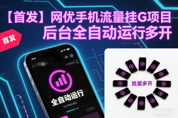 【首发】网优手机流量挂G项目，后台全自动运行，可无限批量多开【揭秘】-第一资源库