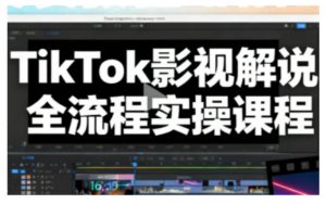 TikTok影视解说全流程实操,手把手教你打造TK爆款解说视频|淘骐网赚资源库