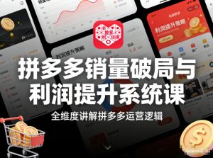 拼多多销量破局与利润提升系统课，全维度讲解拼多多运营逻辑-第一资源库